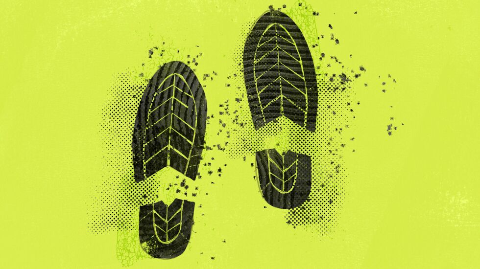 What can you do to reduce your carbon footprint? Here are some tips