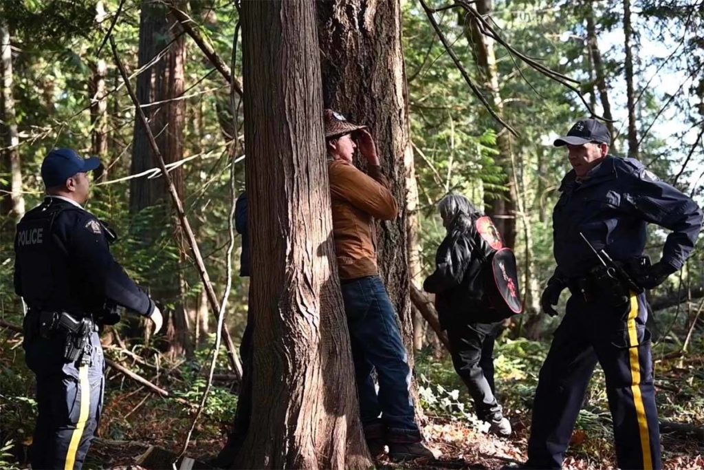 Protests growing over trees cut on North Saanich ALR property