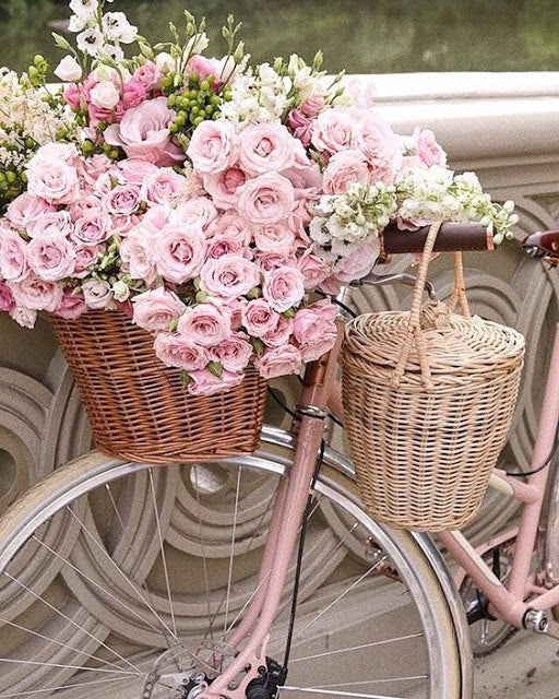 Vintage Garden Bike