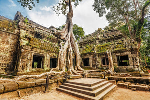 The Best Places & Experiences in Cambodia in 2022