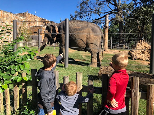 10 Daytrips and Outings in Little Rock