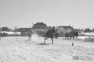 The ‘granddaddy of skijoring’: Leadville gallops into 75th running of historic event featuring skiers pulled by horses this weekend