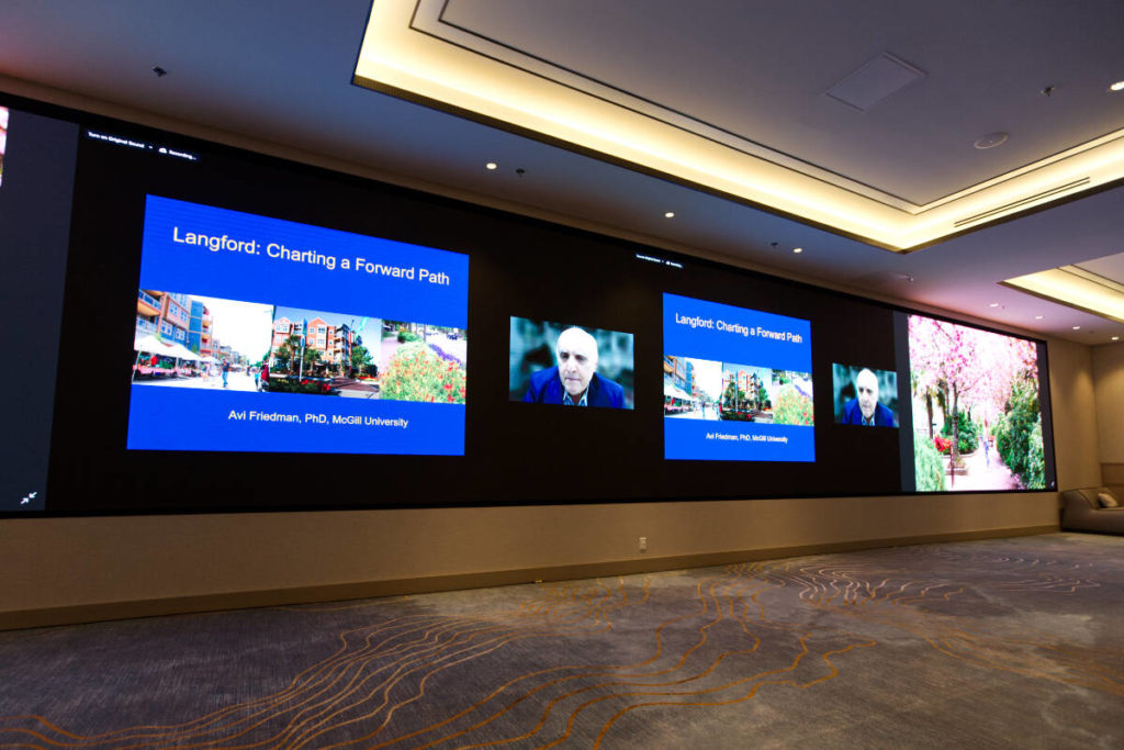 Densification, sustainability key to Langford’s downtown: Avi Friedman