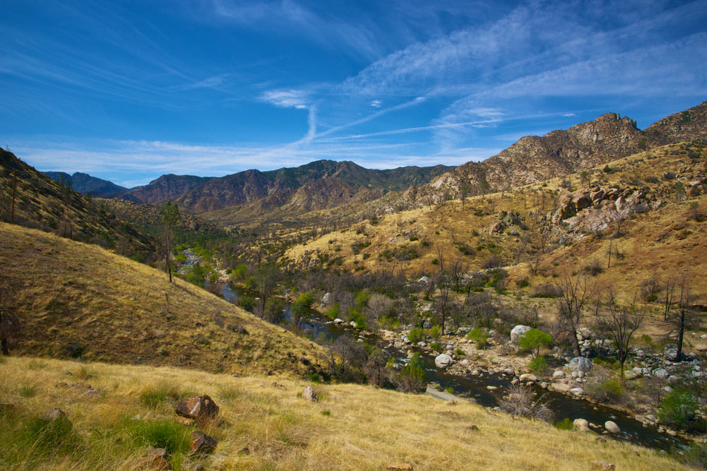 Los Angeles is an audacious city that breeds a love/hate relationship