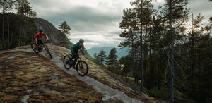 DEVINCI
THE NEW 2021 TROY



ALL MOUNTAIN

One bike, zero excuses. The Troy is a quiver killer. In its fourth-generation, the 140mm travel frame gets a svelter rear-end with improved clearance and ample room for up to 2.6’’ tires. It also has...