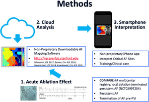 Online webinar training to analyse complex atrial fibrillation maps: A randomized trial