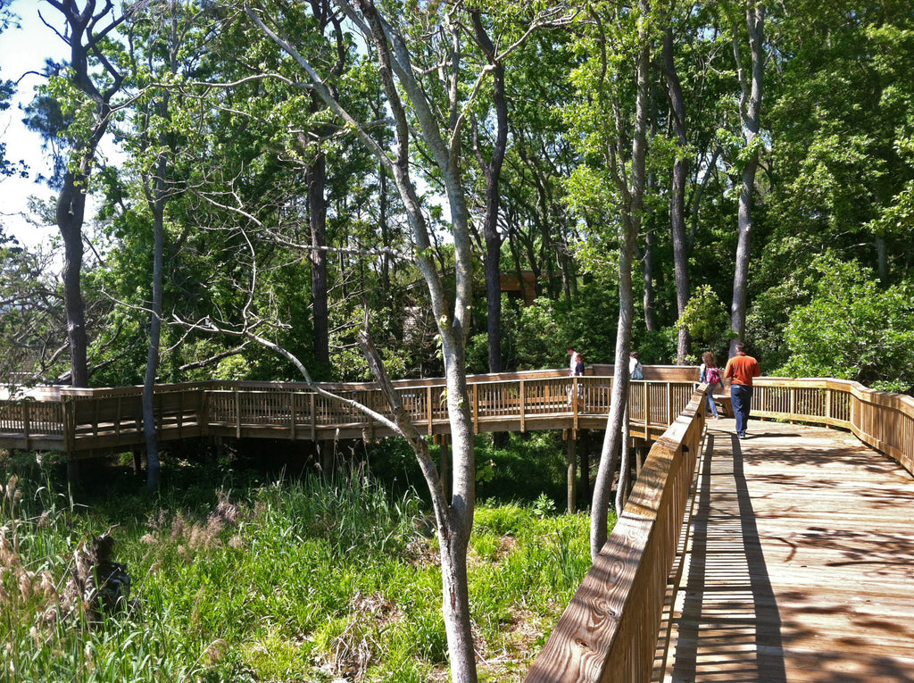 Featured Trail Town – The Outer Banks of North Carolina