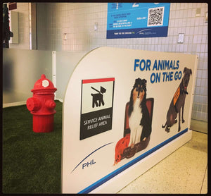 Dog Friendly Airports