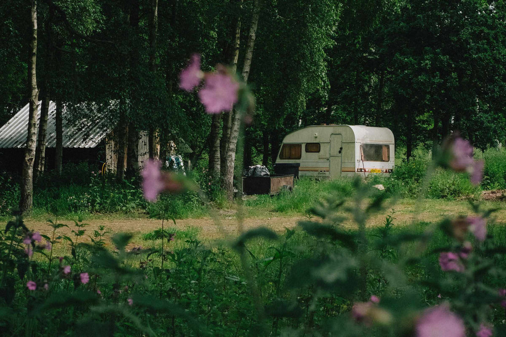 Best caravan cleaners for removing black streaks, algae and grime