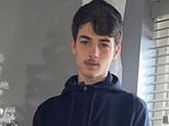 Boy, 15, who died after crashing into a parked ambulance while on his electric bike is pictured