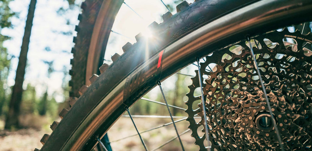 Review: We Are One Revolution Wheelset