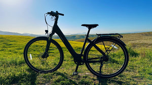 Tenways CGO800S review: An e-bike made for city life