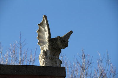 Musings of the Forensic Anthropologist