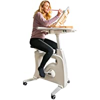 Flexispot Stand up Folding Exercise Desk Bike only $299.99