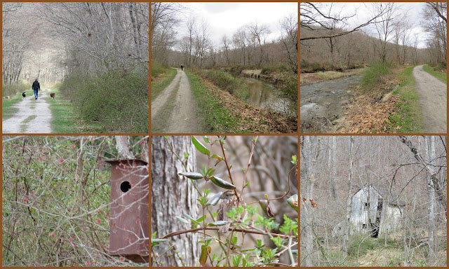 Saturday’s Critters # 435