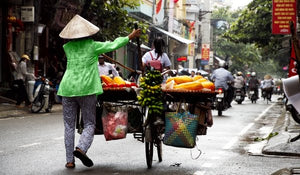 The Impact of the COVID-19 Lockdown on the Diets of Hanoi’s Urban Poor