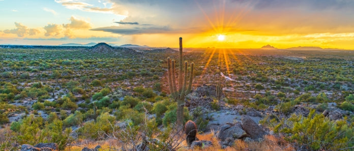 Top Things to Do in Mesa, AZ