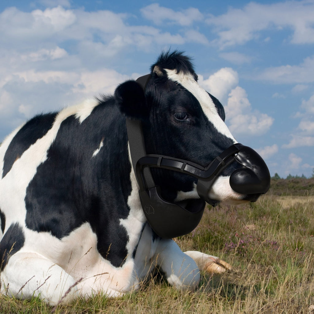 Jony Ive and Prince Charles announce winners of Terra Carta Design Lab competition