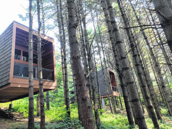 Designer camper cabins offer chic overnights among the trees