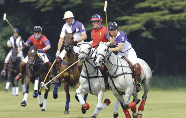Sporting Diana: polo player Tamara Fox
