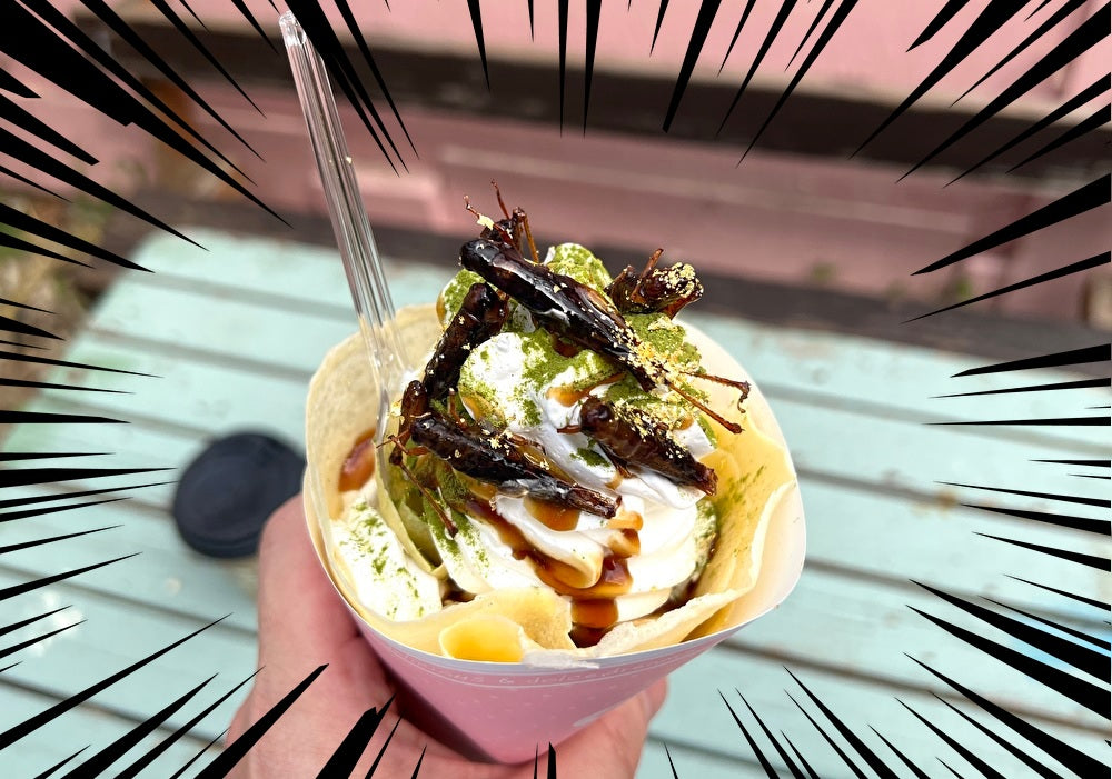 Locust crepes crunch on your teeth, melt in your mouth in east Japan【Taste test】