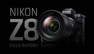 Nikon Z8 field report by Marsel van Oosten