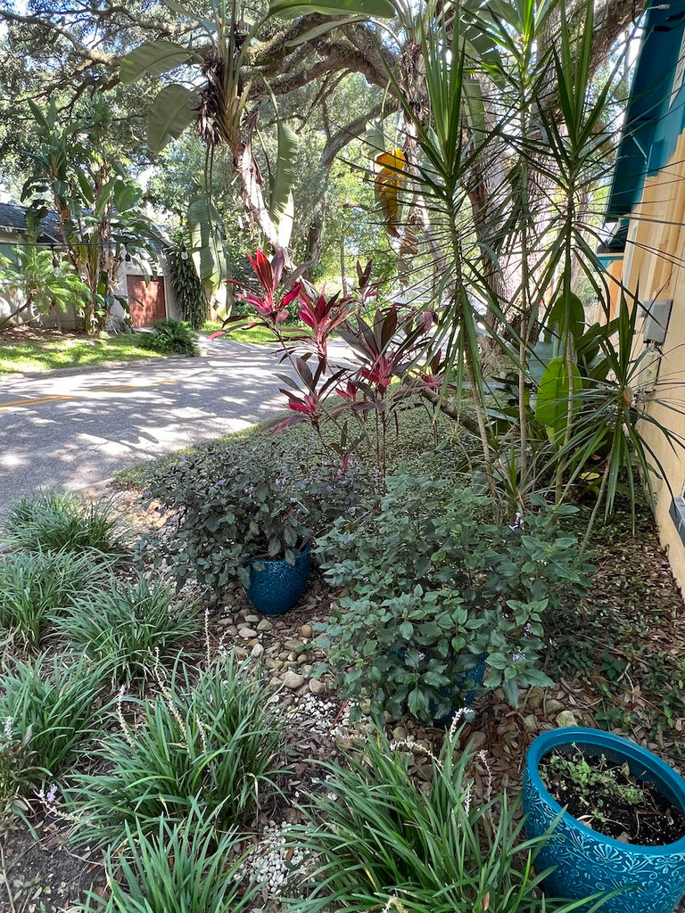 Sunday morning, August 7, 2022